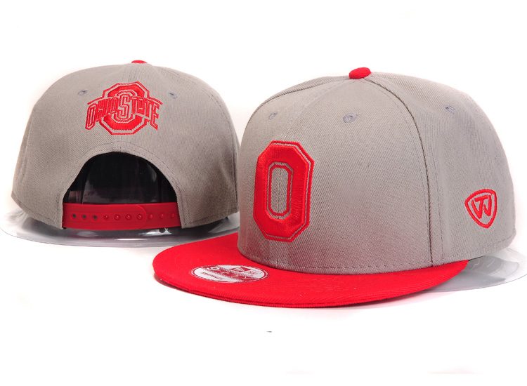 NCAA Ohio State Buckeyes NE Snapback Hat #02
